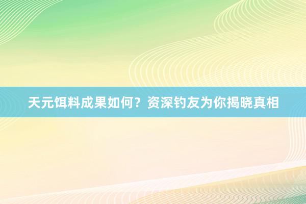 天元饵料成果如何？资深钓友为你揭晓真相